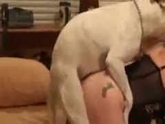 Adorable woman with a tattooed booty who loves having her dog screw her
